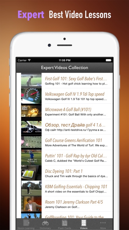 Golf 101: Quick Study Reference with Video Lessons and Glossary screenshot-4