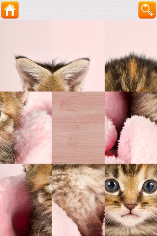 Kitten Puzzle HD screenshot 3