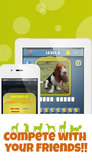 DogdomDogs - What's the dog breed? Guess the Dog from the Pi(圖2)-速報App