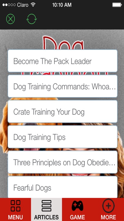 'A How to Train a Puppy and Stop Dog Barking With Great training classes and Amazing Tips