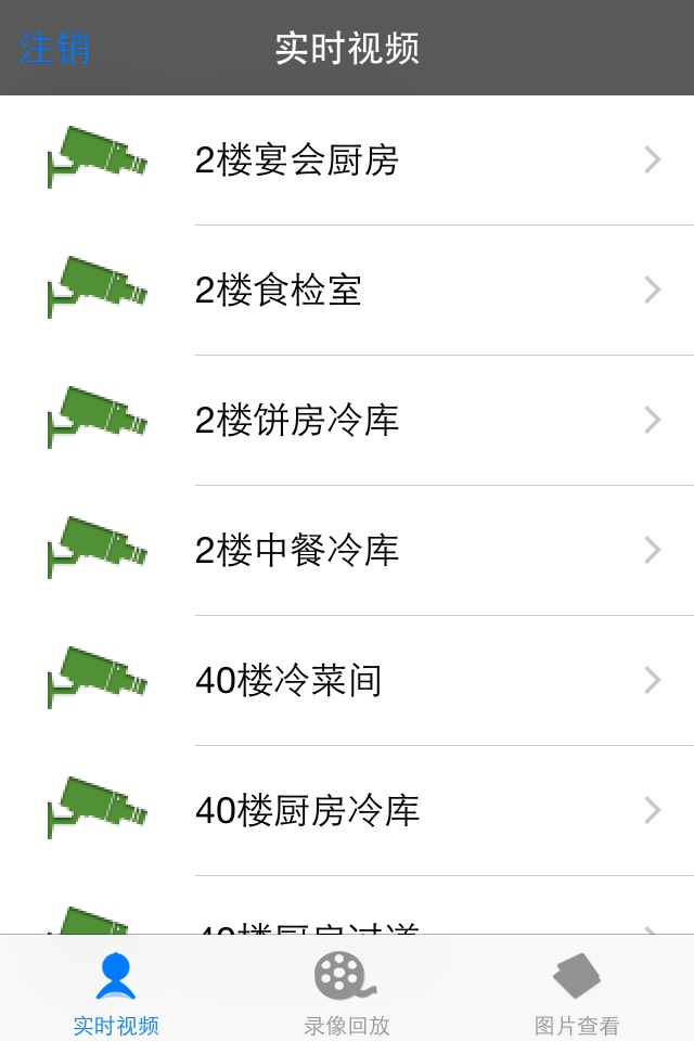 S-NVS视频监控 screenshot 3