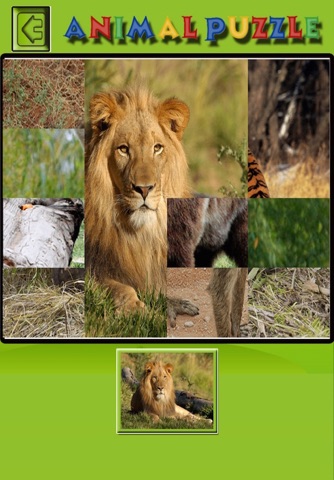 Kids Animal Puzzle - Wild animal puzzle for kids screenshot 2