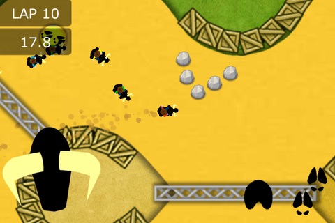 Race Bulls screenshot 3