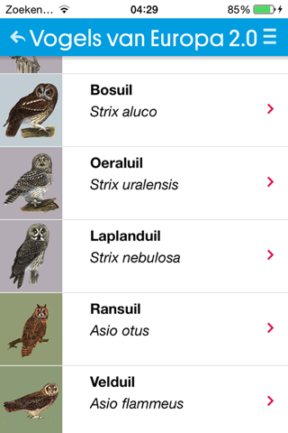 Vogels van Europa screenshot 3