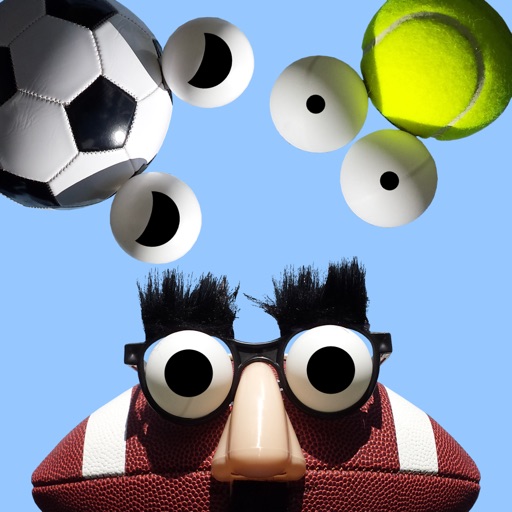 Gotcha Balls iOS App
