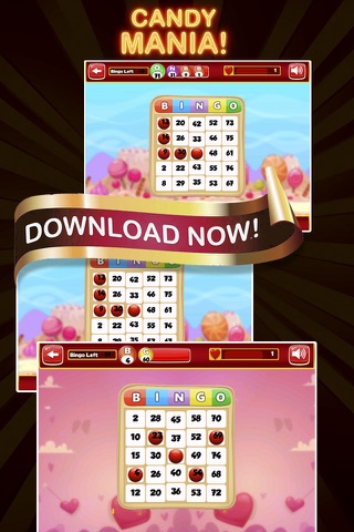Double Win Bingo Pro - Bingo Best Game screenshot 2