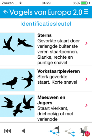 Vogels van Europa screenshot 2
