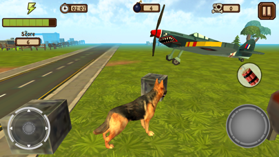 犬の大きな世界 screenshot1