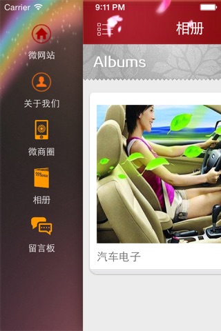 汽车电子 screenshot 3