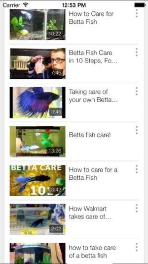 Betta Fish - Everything You Want to Know About Betta Fish(圖5)-速報App