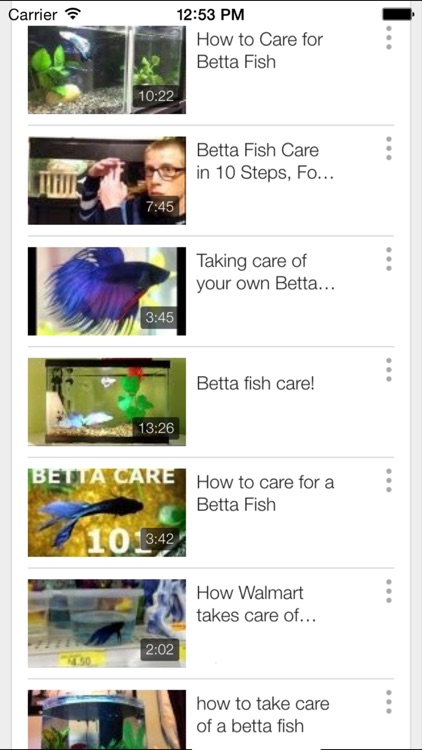 Betta Fish - Everything You Want to Know About Betta Fish screenshot-4