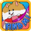 Find Mi