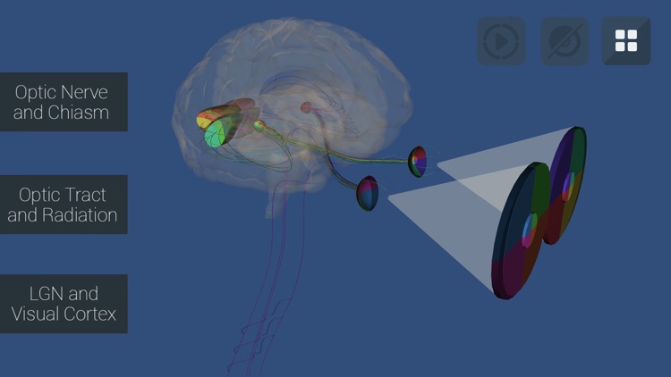 Anu Reality EyeSim Mobile
