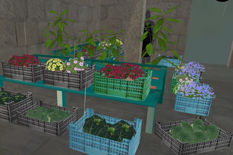 Mercado de Santiago screenshot 3