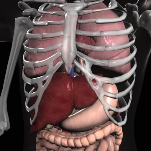 Anatomy 3D: Organs Download