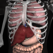 Anatomy 3D: Organs