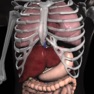 Get Anatomy 3D: Organs for iOS, iPhone, iPad Aso Report