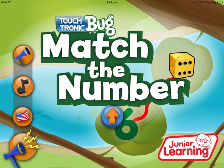 Match The Number Bug