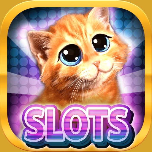 Kitty Meow Slot Casino