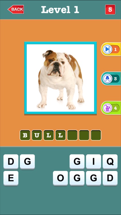 Dog Breeds Quiz For Animal Lovers - Guess Most Popular Small,Hound & Large Dogs Breed Names