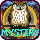 Top 40 Games Apps Like Hidden Objects:mystery of owl spirits - Best Alternatives
