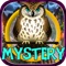 Hidden Objects:mystery of owl spirits is a game for all hidden friends