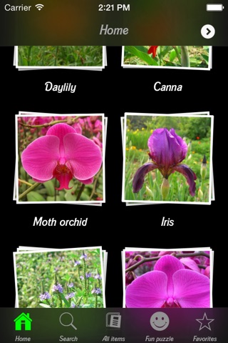 Flowers Wiki screenshot 2