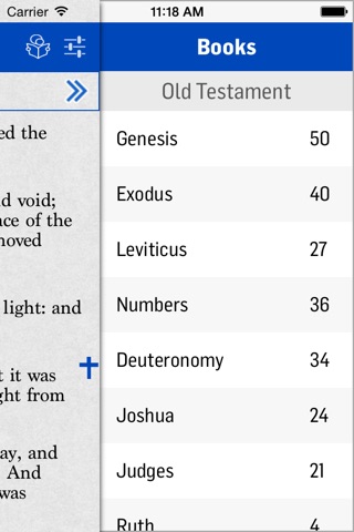 ASV Bible* screenshot 3