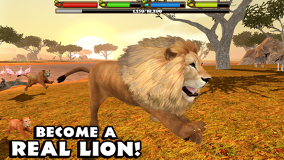 How to cancel & delete Ultimate Lion Simulator from iphone & ipad 1