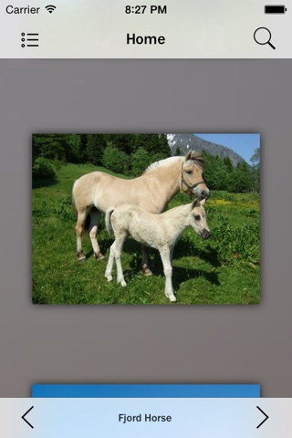 Horse Breeds Collection Pro screenshot 4