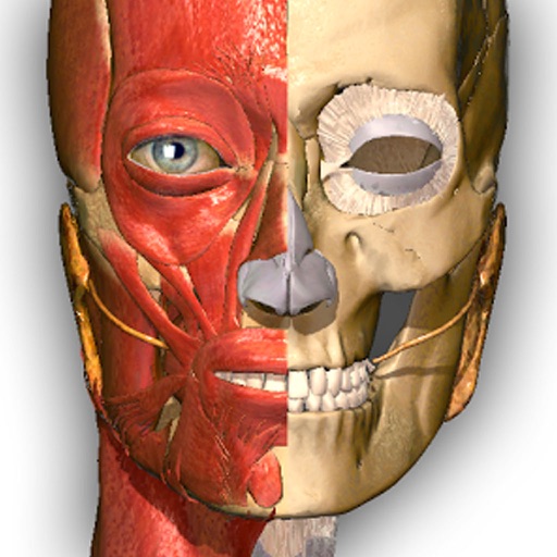 Visual Anatomy Free- Medical Dictionary for Medical Student