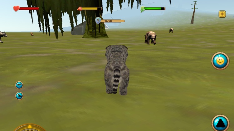 Cat Clan Simulator 3D