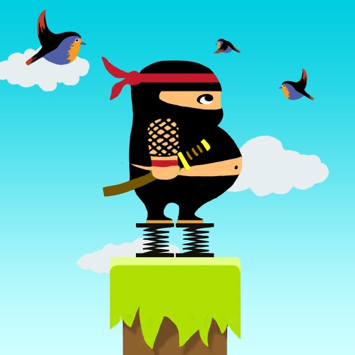 Mr Fat Bird Jump Icon