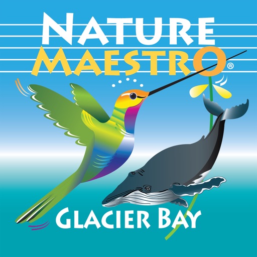 Nature Maestro Glacier Bay icon