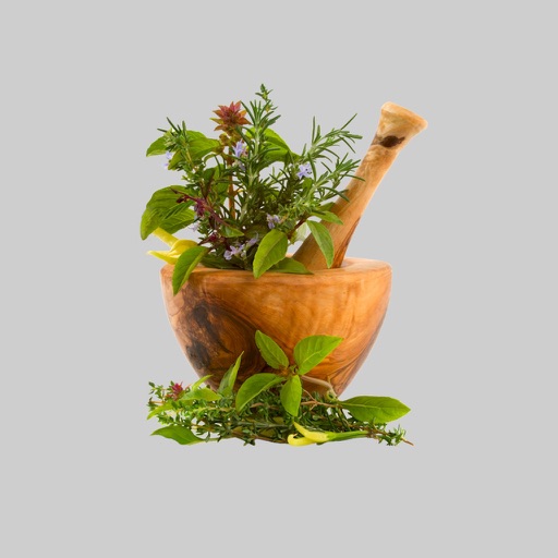 موسوعة الاعشاب الطبية herbs dictionary