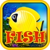 AAA Big Splashy Gold Fish in Wonderland Casino Rush to Roulette Jackpot Pro