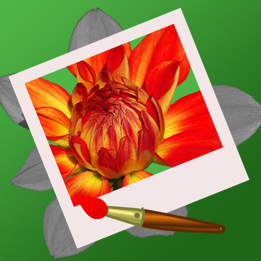 Professional Photo Effect Pro - cool picture design booth icon
