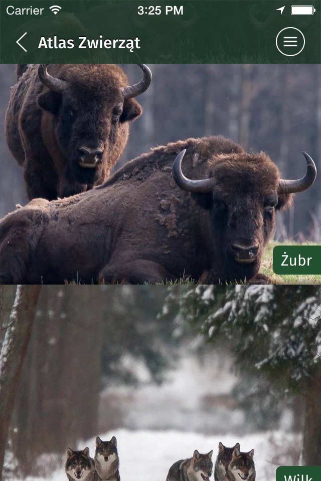 Białowieski Park Narodowy screenshot 2