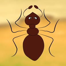 Activities of Ant War Village: Smash the Bugs