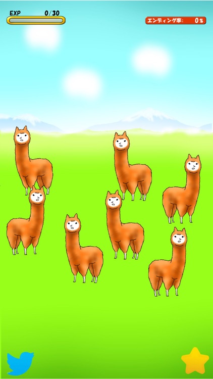 Alpaca Evolution Begins