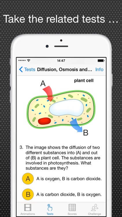 Regents Biology: Watch and Test Lite