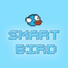 Smart Bird!