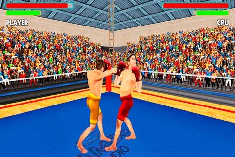 Killer Street Boxing screenshot 2