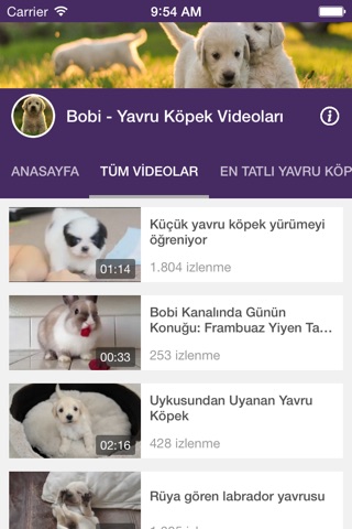 Yavru Köpek Videoları screenshot 3