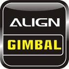 Gimbal System