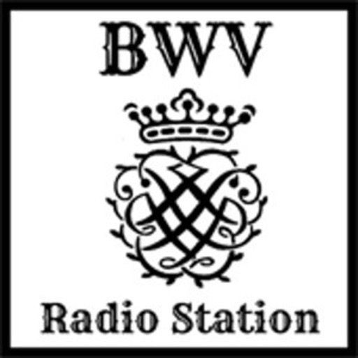 B W V Radio Station icon