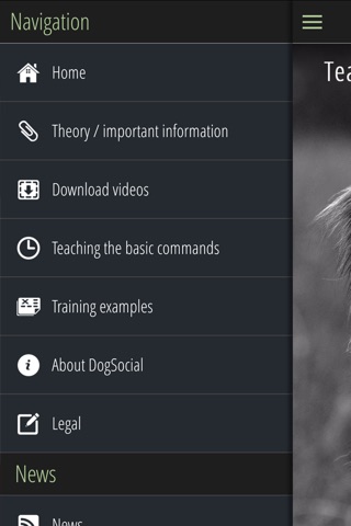 DogSocial Dog Training - Teaching the Basic Commands screenshot 2
