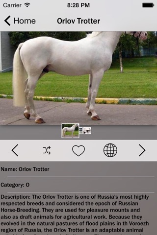 Horse Breeds Collection Pro screenshot 3
