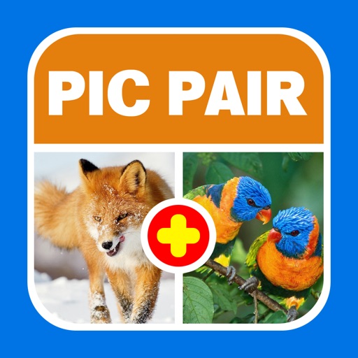 Version 2016 for Guess The Pic Pair iOS App