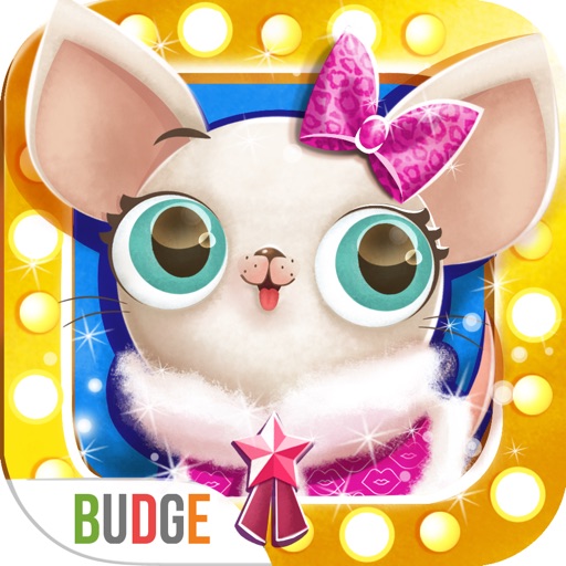 Miss Hollywood Showtime - Pet House Makeover